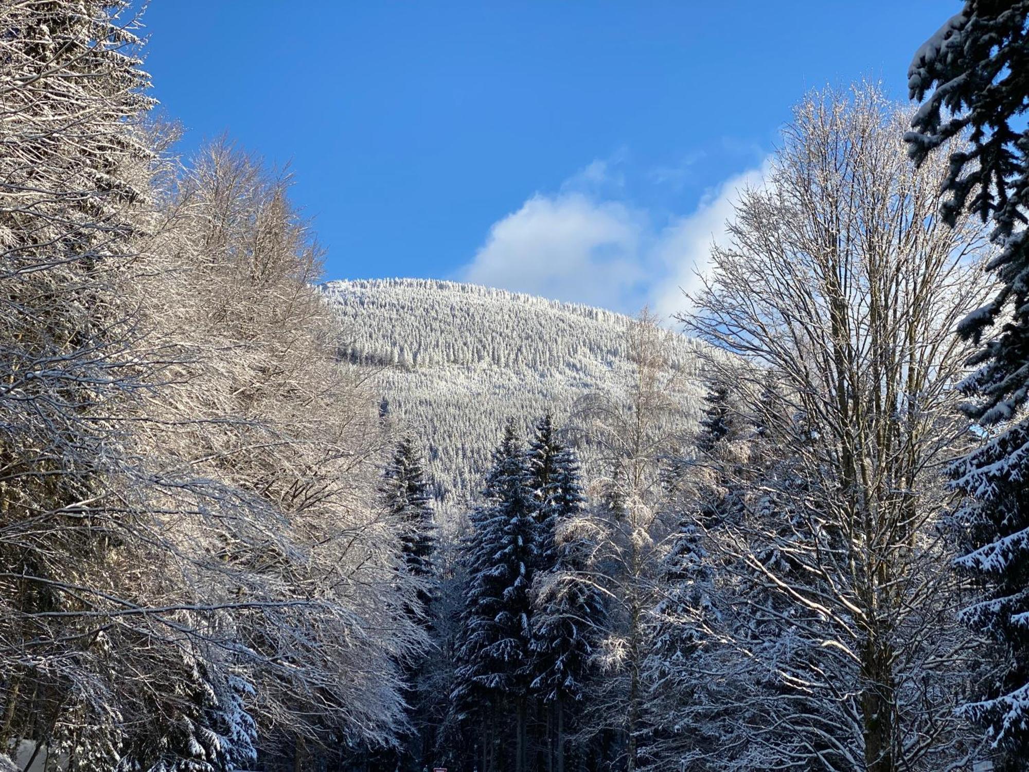 Interhotel Montana Špindlerŭv Mlýn Buitenkant foto